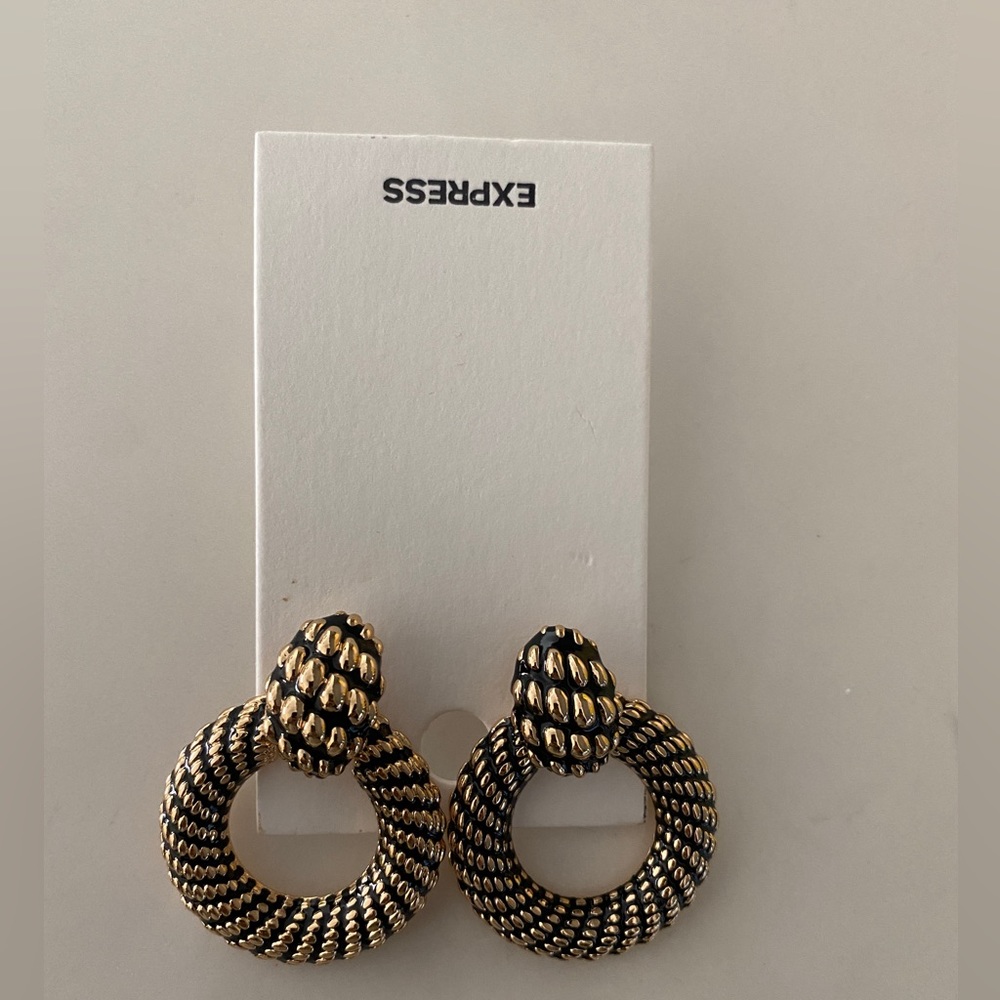 Express Earrings